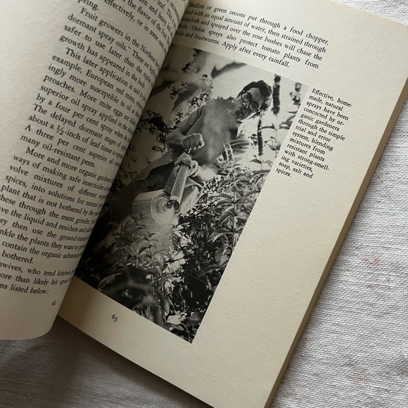 Guide - Getting the Bugs Out - Picture 11 of 11